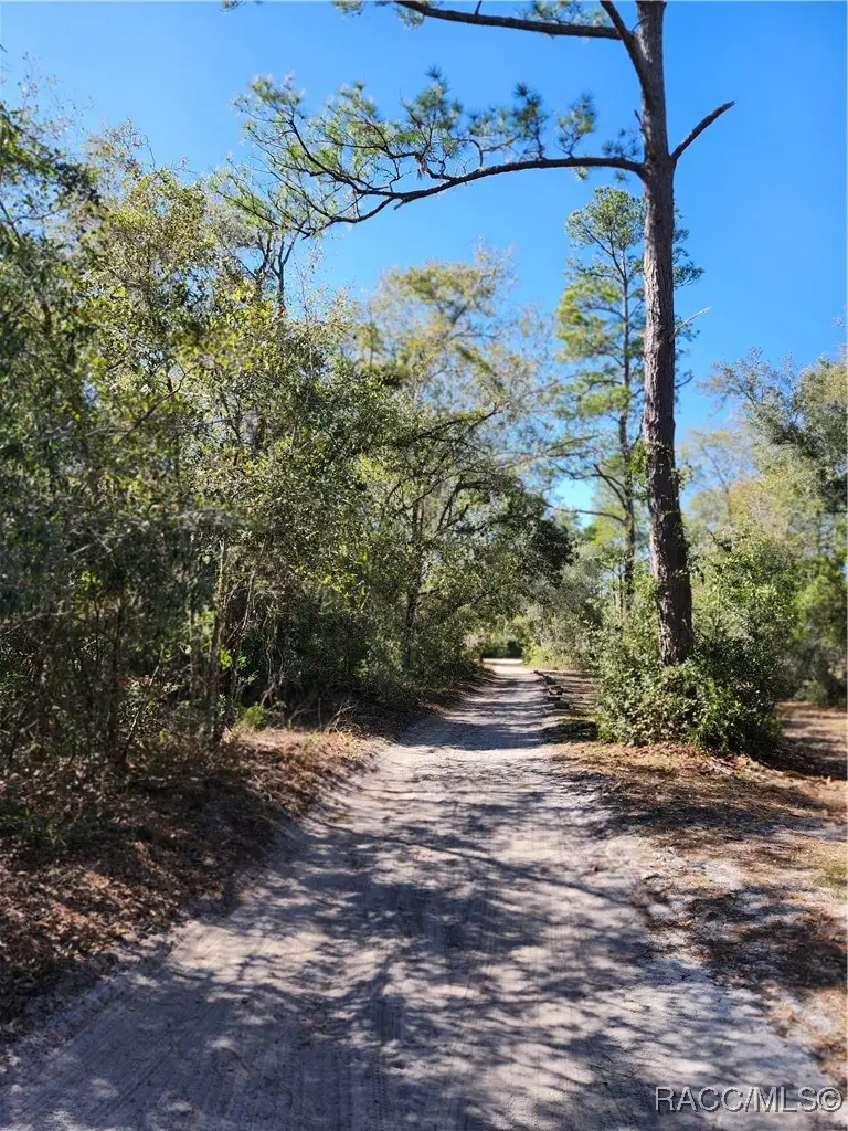 6402 E Grantham Court, Hernando, FL 34442 - #3