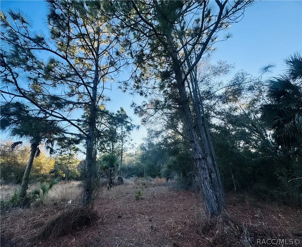 9632 N Cacalia Drive, Crystal River, FL 34428 - #1