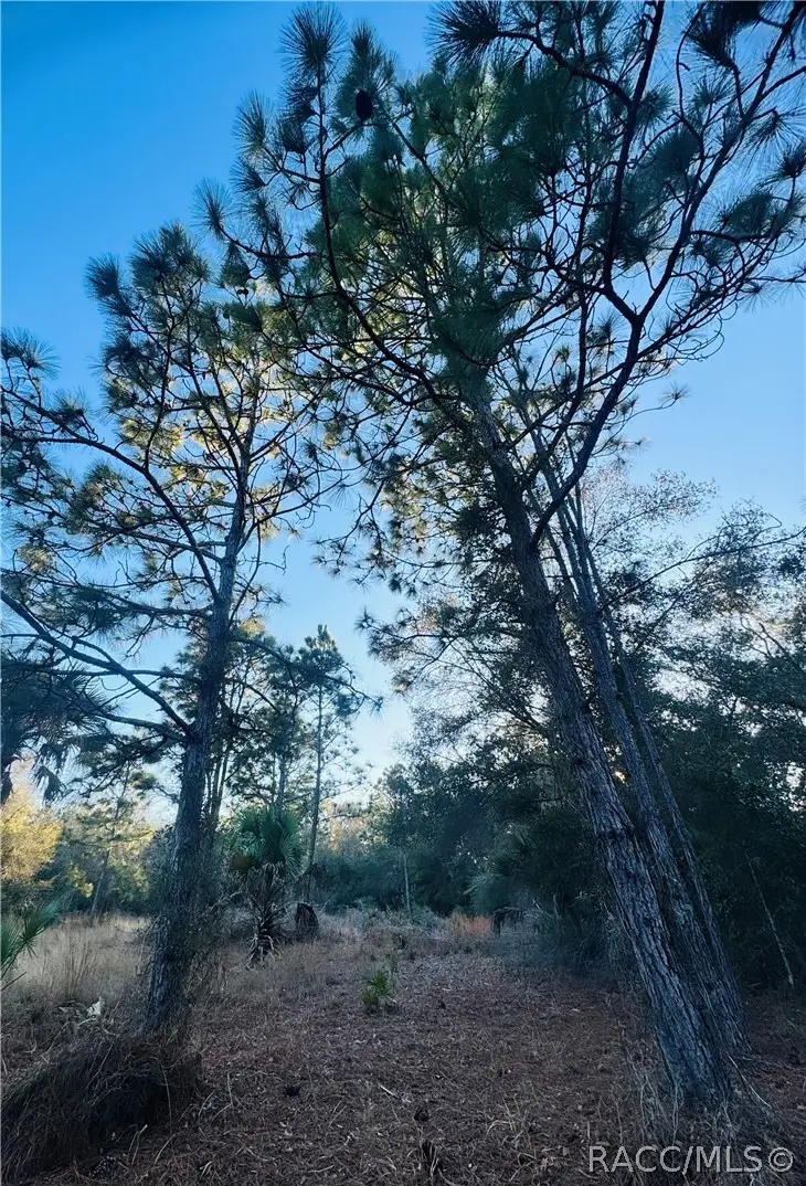 9632 N Cacalia Drive, Crystal River, FL 34428 - #2