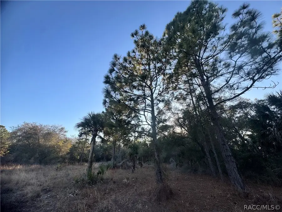 9632 N Cacalia Drive, Crystal River, FL 34428 - #3