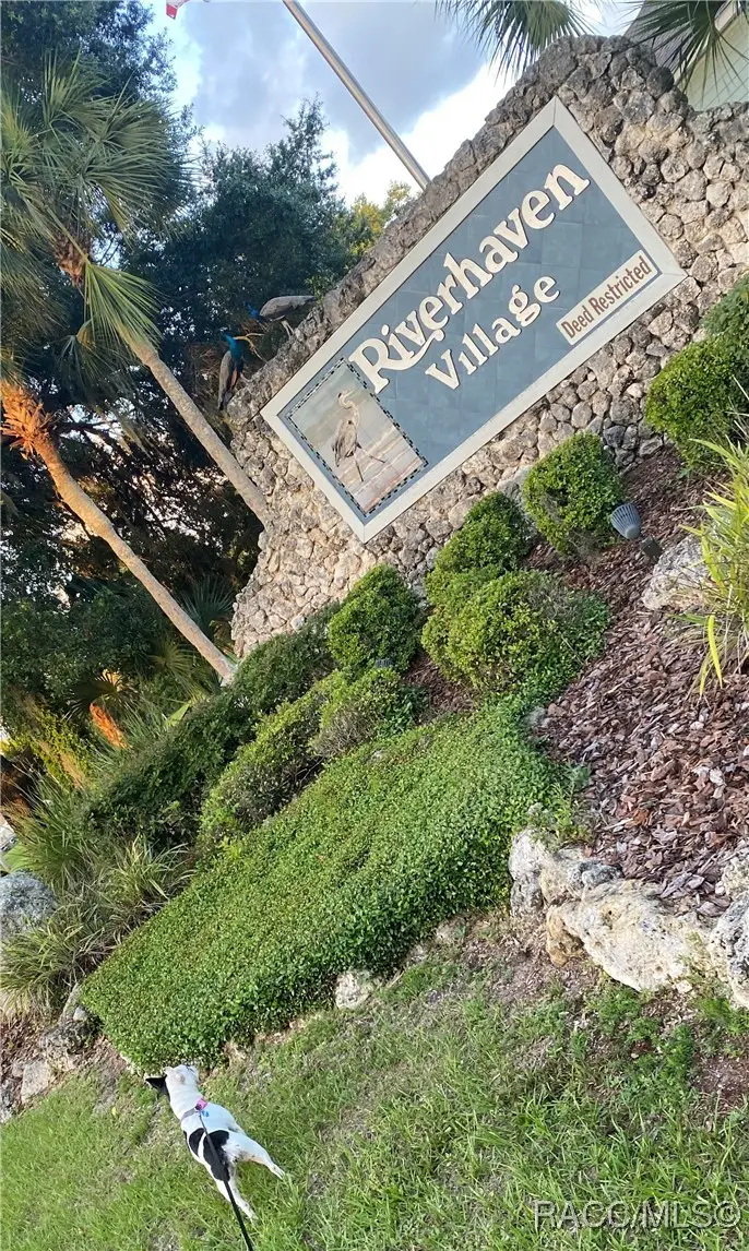 11803 W Timberlane Drive, Homosassa, FL 34448 - Image #2