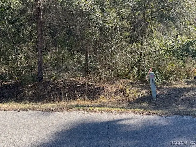 112 N Bauer Road, Lecanto, FL 34461 - #2