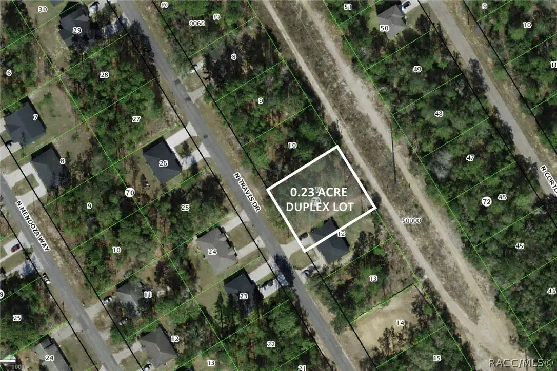 9219 N Travis Drive, Citrus Springs, FL 34434 - #1