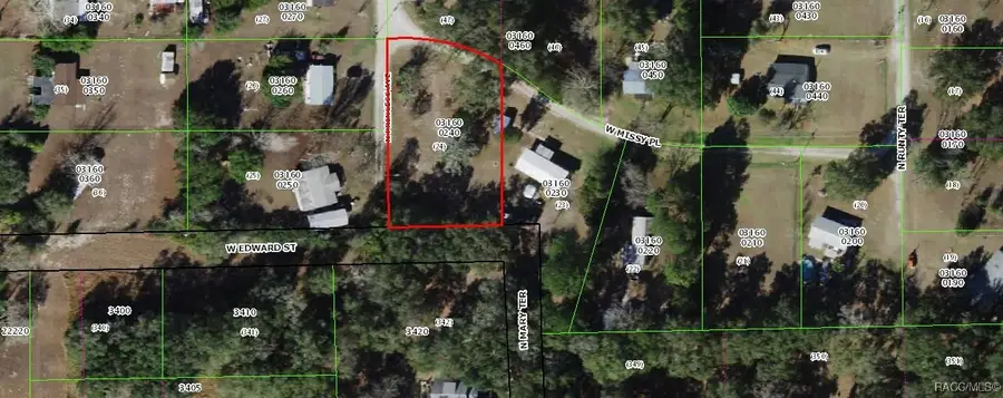 7920 W Missy Place, Dunnellon, FL 34433 - Image #3