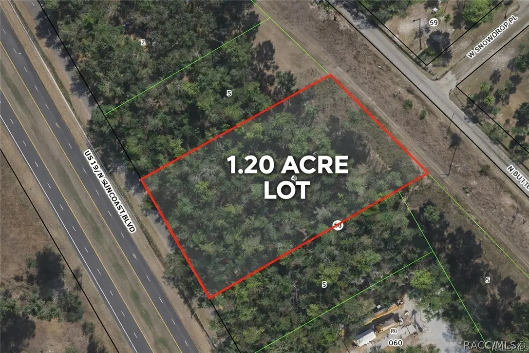 8835 N Bellflower Way, Crystal River, FL 34428 - #1