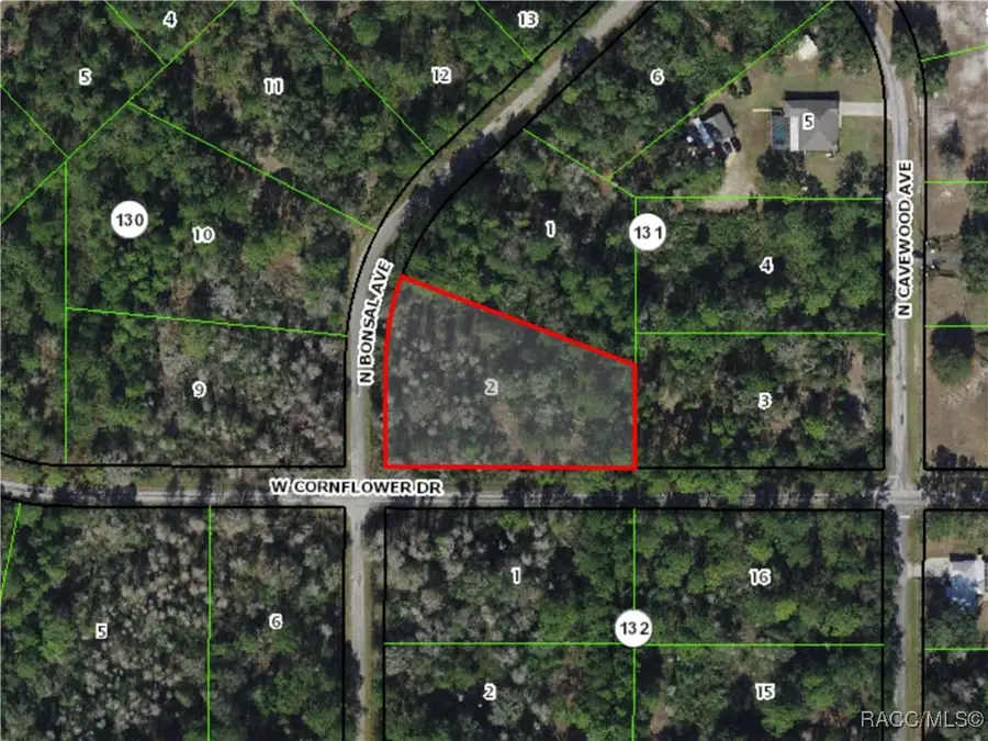 9747 N Bonsai Avenue, Crystal River, FL 34428 - Image #2