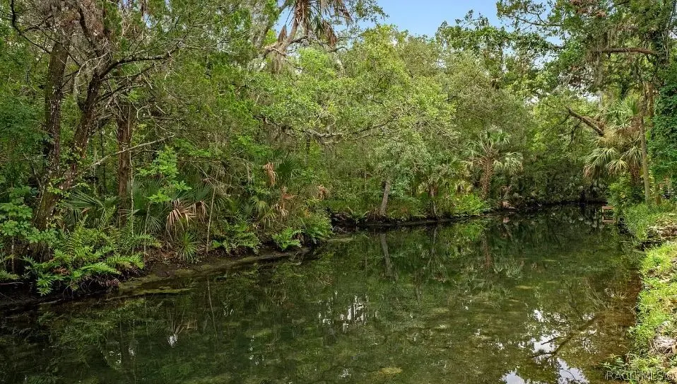 8896 W White Dogwood Drive, Homosassa, FL 34429 - #1