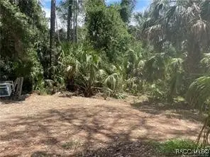 345 Sapp Street, Inglis, FL 34449 - #2