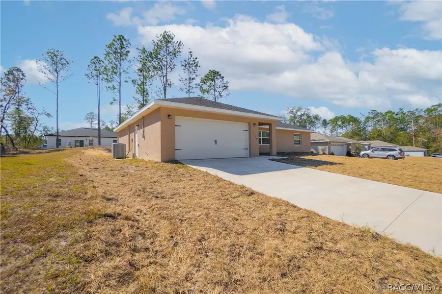 2438 W Vespero Street, Citrus Springs, FL 34433 - #3