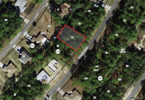 8056 N Pocono Drive, Citrus Springs, FL 34434