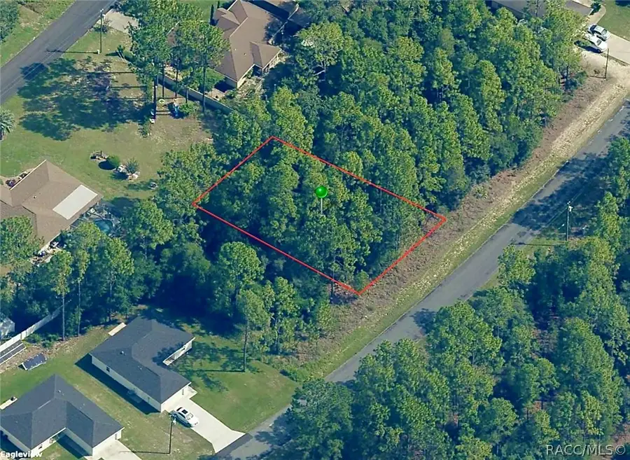 8056 N Pocono Drive, Citrus Springs, FL 34434 - #2