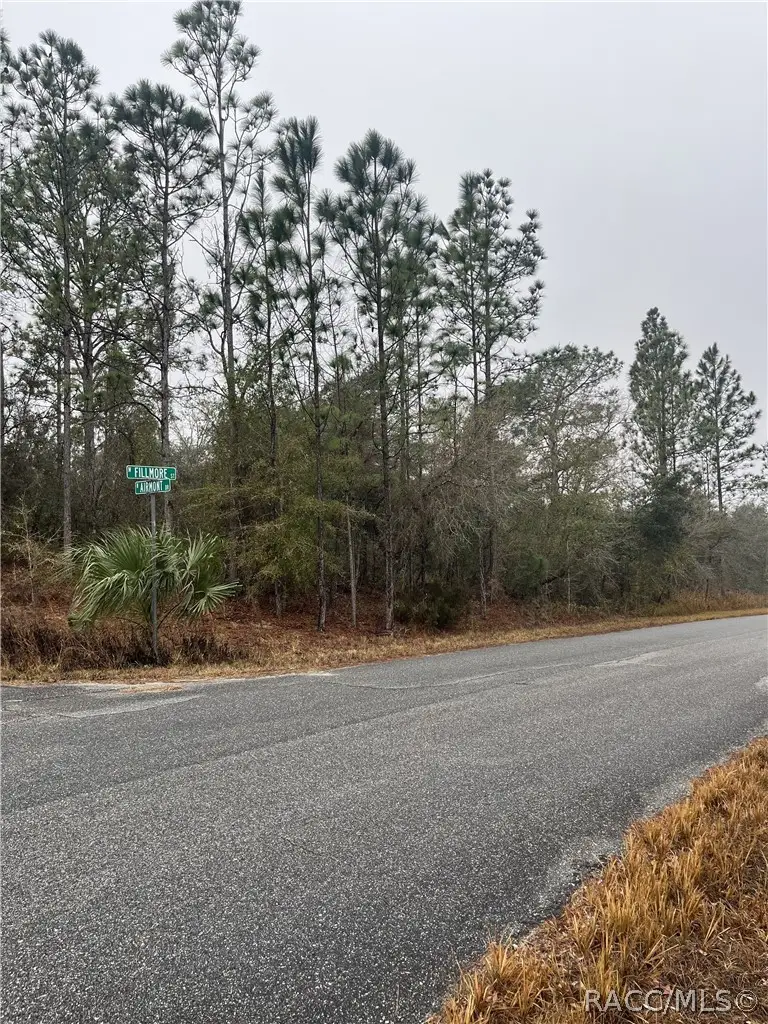 6692 N Airmont Drive, Dunnellon, FL 34433 - #2