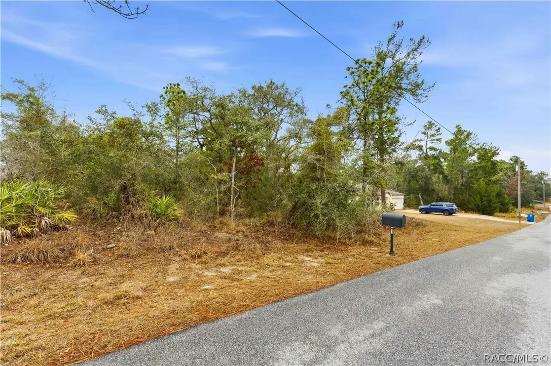 11063 Liberto Road, Weeki Wachee, FL 34614 - #1