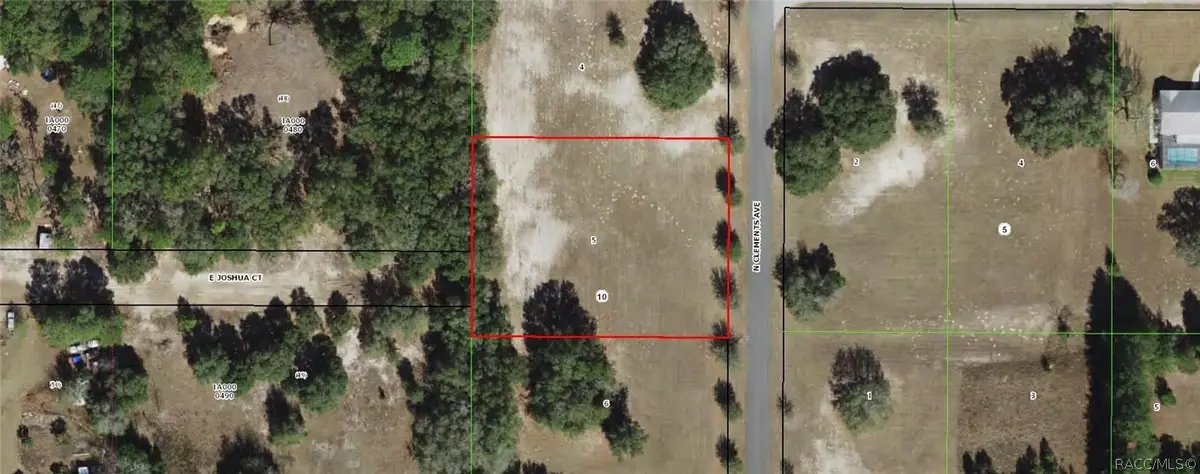 3076 N Clements Avenue, Hernando, FL 34442 - #1