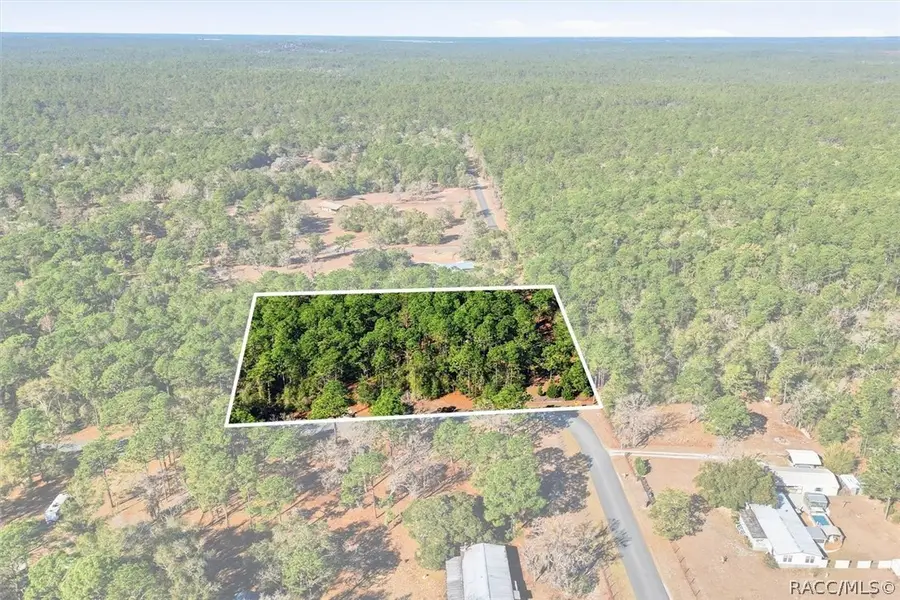 8780 S Deerstalker Terrace, Inverness, FL 34452 - #3