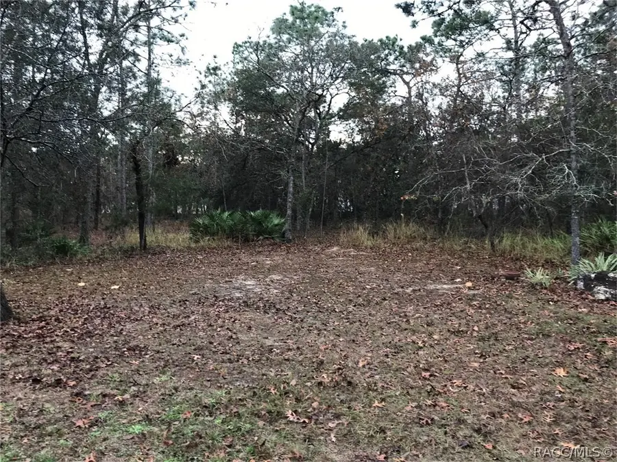 71 Corkwood Boulevard, Homosassa, FL 34446 - #3