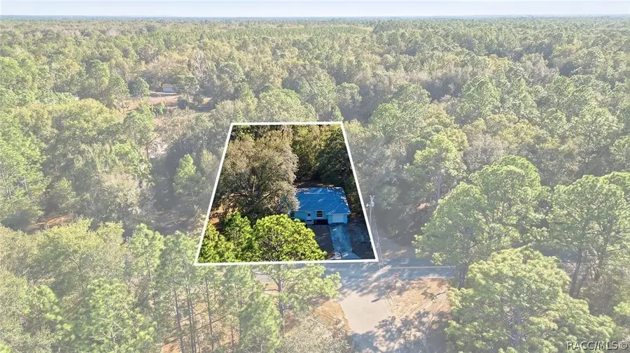 8156 W Basilico Street, Crystal River, FL 34428 - #2