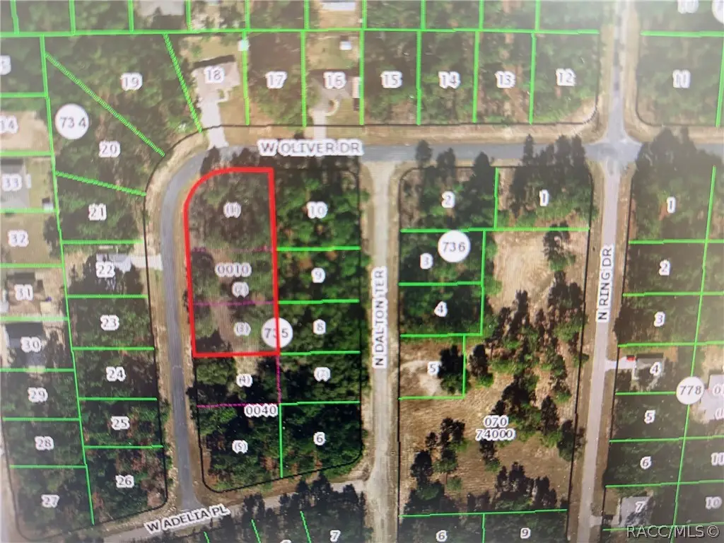 1930 W Oliver Drive, Citrus Springs, FL 34434 - #1