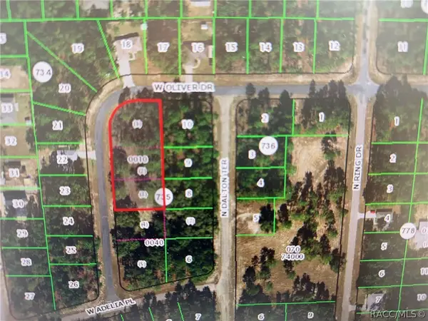 1930 W Oliver Drive, Citrus Springs, FL 34434