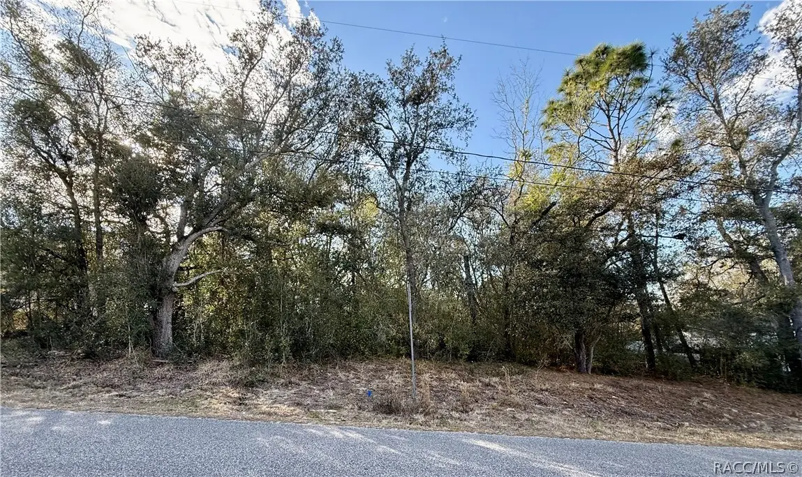 94 N West Avenue, Inverness, FL 34453 - Image #1