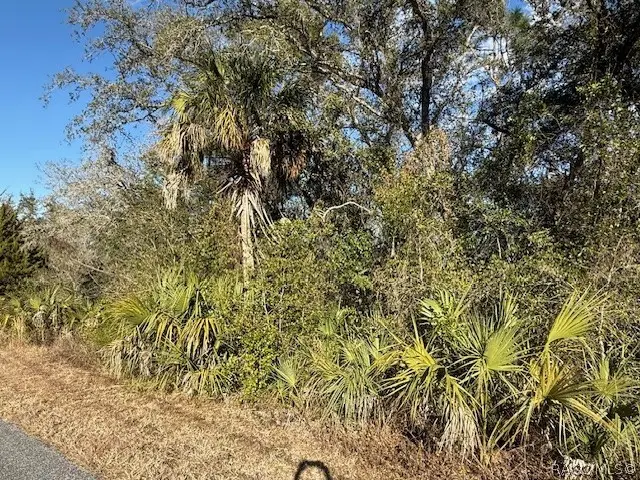 85 N West Avenue, Inverness, FL 34453 - #3