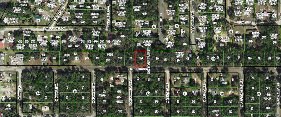 3667 E Orchid Street, Hernando, FL 34442 - #2