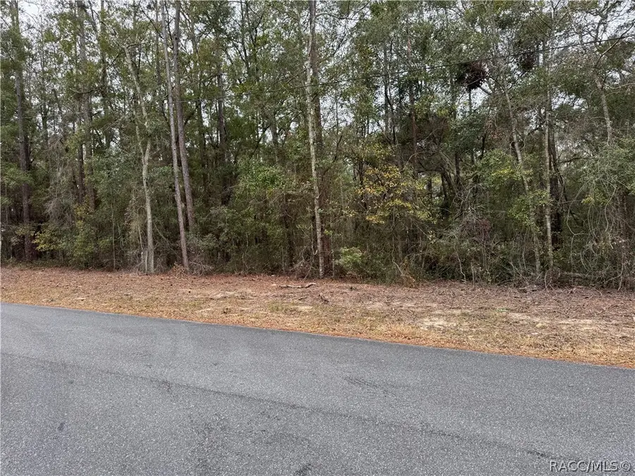 10350 N Academy Drive, Citrus Springs, FL 34434 - #2