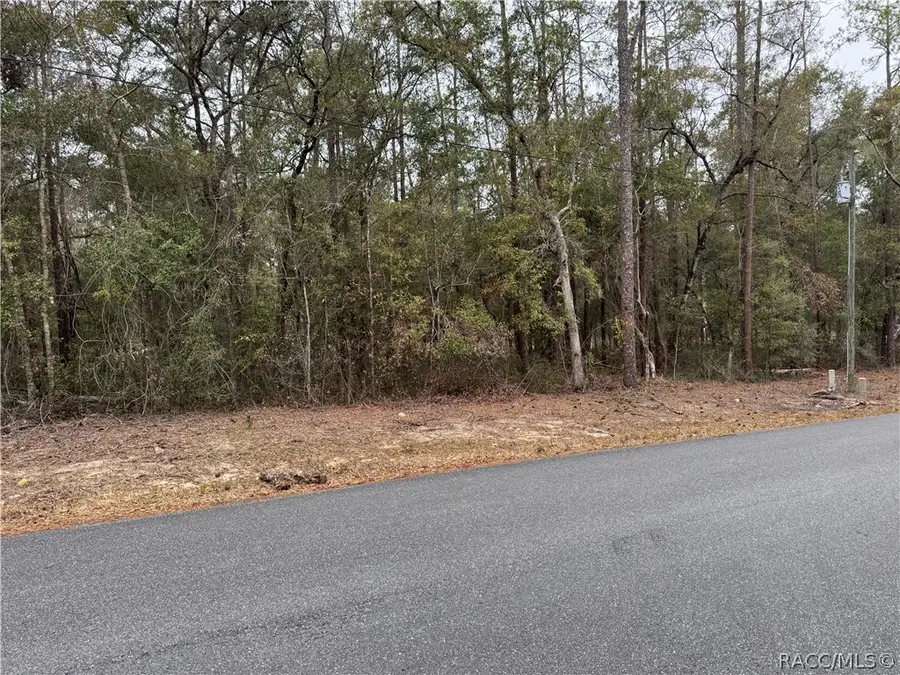 10350 N Academy Drive, Citrus Springs, FL 34434 - #3