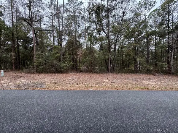 10364 N Academy Drive, Citrus Springs, FL 34434