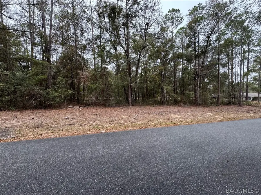 10364 N Academy Drive, Citrus Springs, FL 34434 - #2