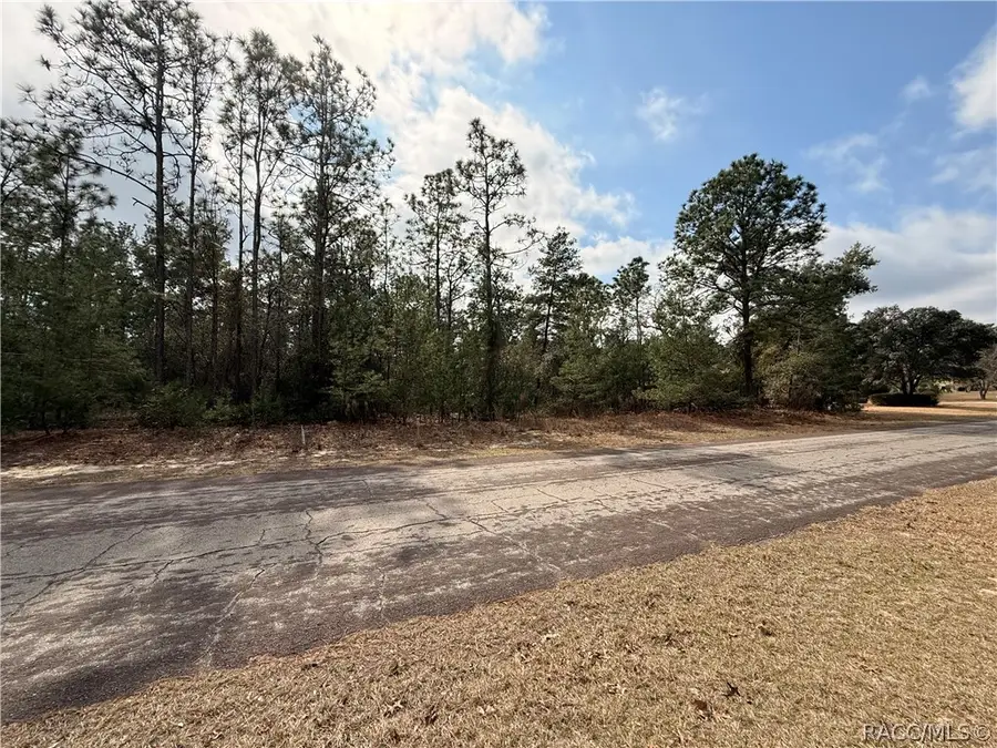 5872 N Rosewood Drive, Beverly Hills, FL 34465 - #3