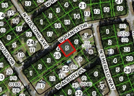 1936 W Ranch Drive, Citrus Springs, FL 34434 - #2