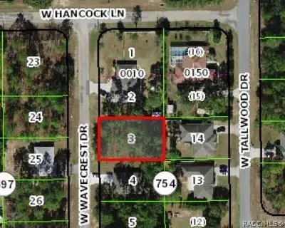 2481 W Wavecrest Drive, Dunnellon, FL 34434 - #2