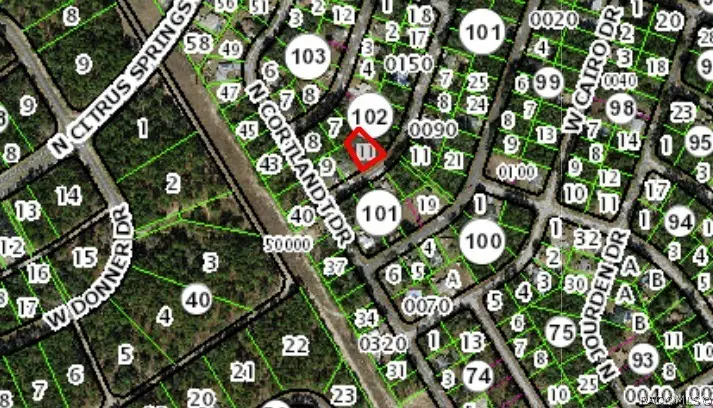 9991 N Sandree Drive, Citrus Springs, FL 34434 - #3