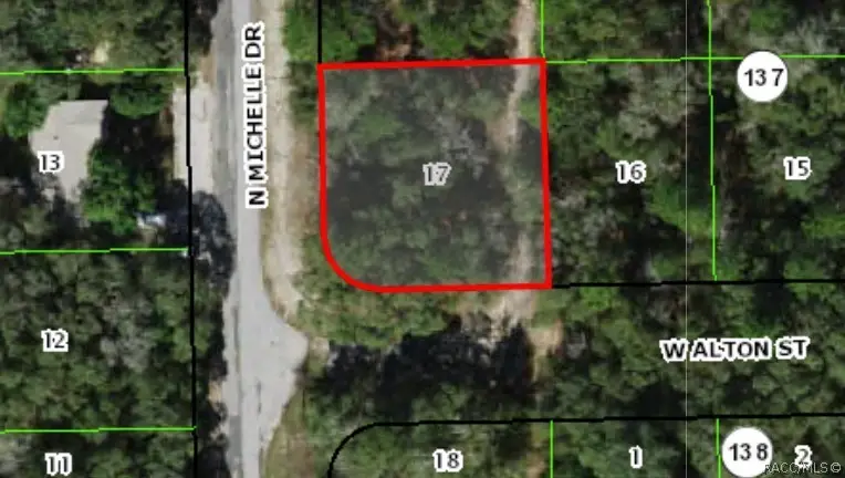 9601 N Mitchelle Drive, Citrus Springs, FL 34434 - #1