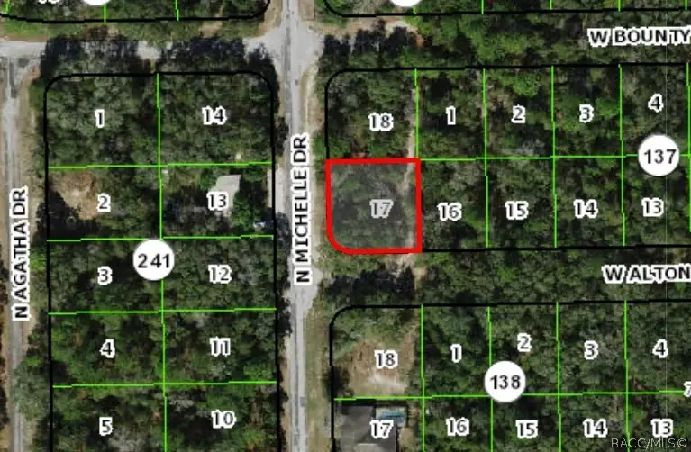 9601 N Mitchelle Drive, Citrus Springs, FL 34434 - #2