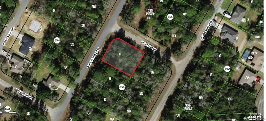 7881 N Keystone Drive, Citrus Springs, FL 34433 - #2