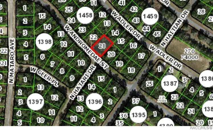 2121 W Andromedae Drive, Citrus Springs, FL 34434 - #2