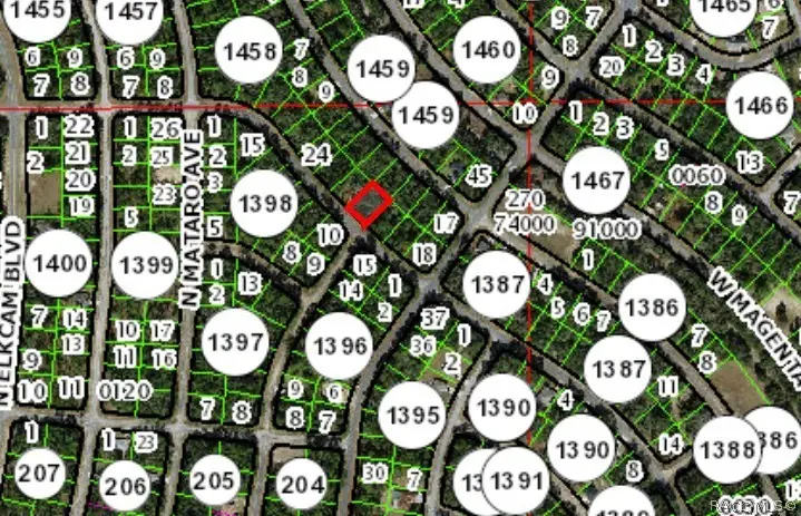 2121 W Andromedae Drive, Citrus Springs, FL 34434 - #3