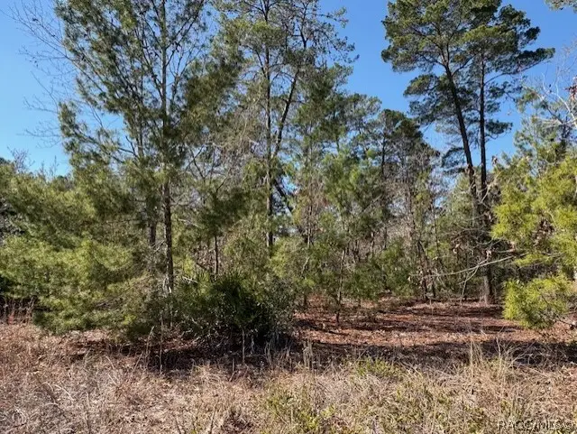 23 Tall Marigolds Court, Homosassa, FL 34446 - #1