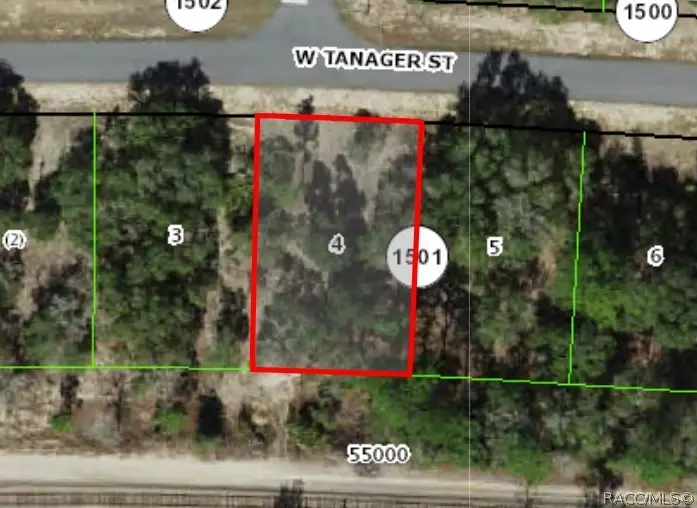 2654 W Tanager Street, Citrus Springs, FL 34433 - #1