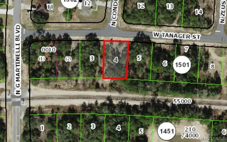 2654 W Tanager Street, Citrus Springs, FL 34433 - #2