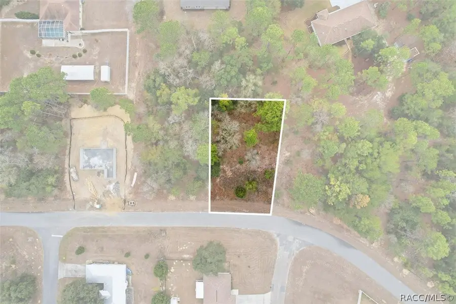 2924 W Eunice Drive, Citrus Springs, FL 34433 - #3