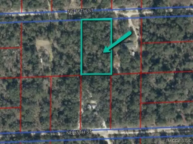 lot 203 NE 86th Street, Bronson, FL 32621 - #1