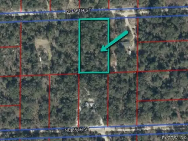 lot 203 NE 86th Street, Bronson, FL 32621