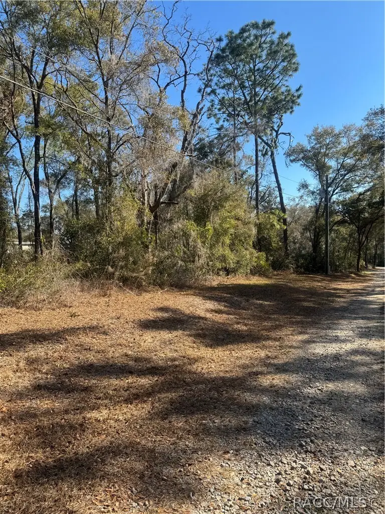 3067 E Christopher Lane, Inverness, FL 34453 - #2