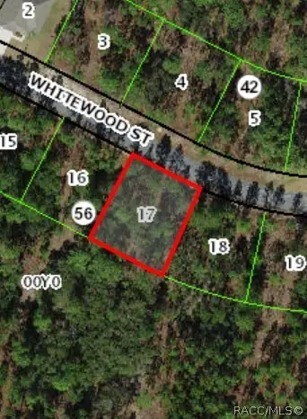 39 Whitewood Street, Homosassa, FL 34446 - #2