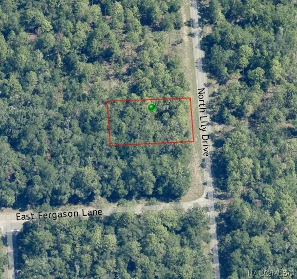 9538 N Lily Drive, Citrus Springs, FL 34434 - #3