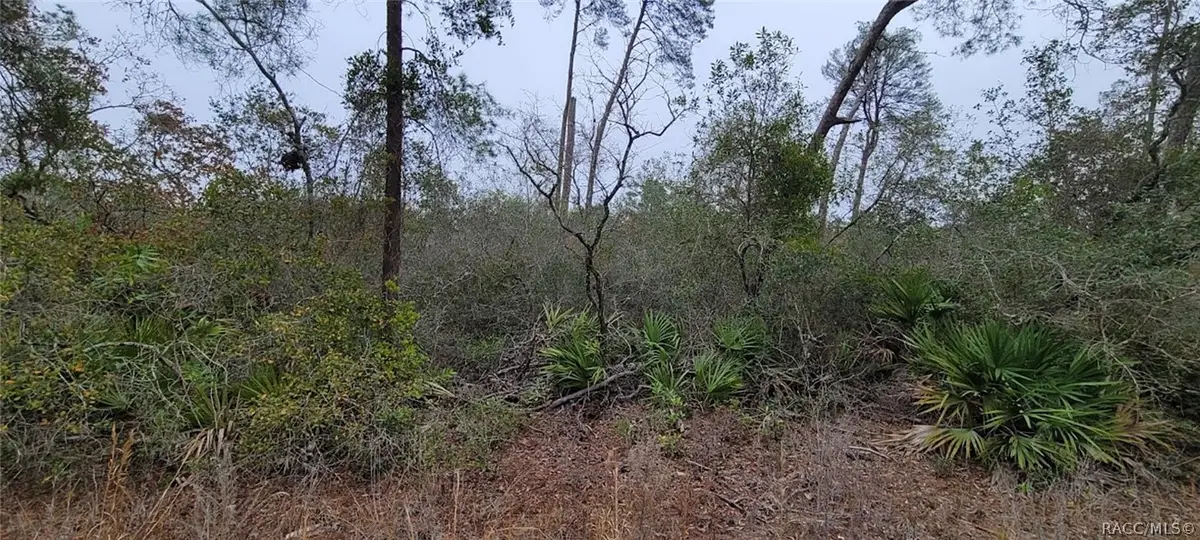 6345 N Polar Point, Dunnellon, FL 34433 - #1