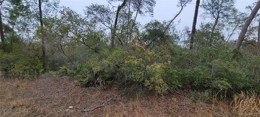 6345 N Polar Point, Dunnellon, FL 34433 - #2